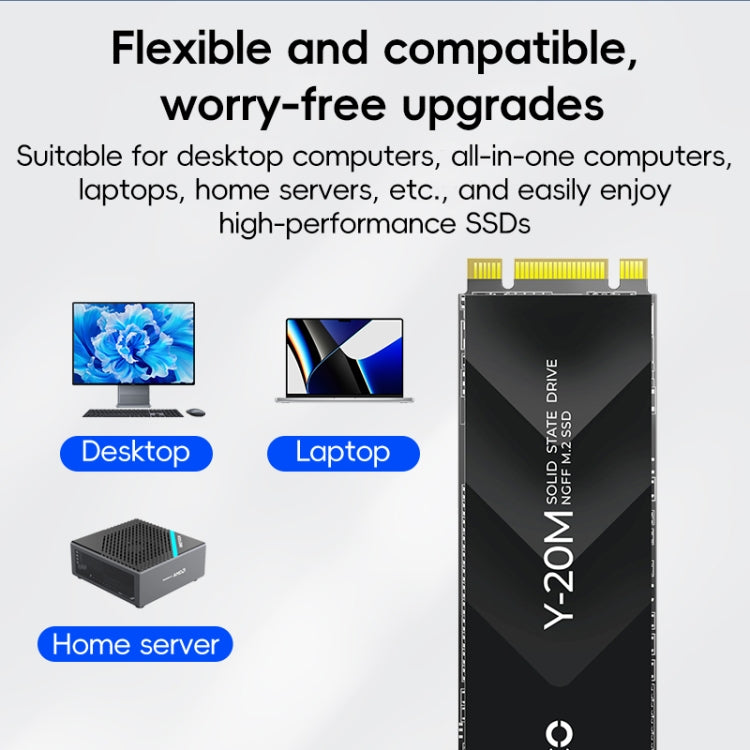 Unità a stato solido per computer ORICO Y20M NGFF M.2, memoria: 512 GB