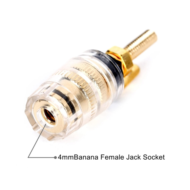 Morsettiera trasparente media estensione Presa a banana da 4 mm Posto di giunzione per amplificatore audio (nero)